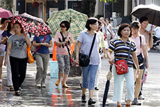 Vietnam becomes attractive destination for Japanese tourists